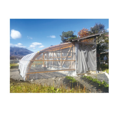 既存の物置に隣接する木製ビニールハウス