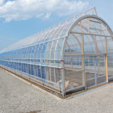 農業用木製ビニールハウス