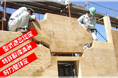 木造農業用ビニールハウス