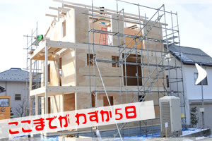 わずか5日でおよそここまで建ちます。